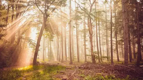 热闹非凡活动中的互动游戏狂欢与混乱场面-JJB电竞